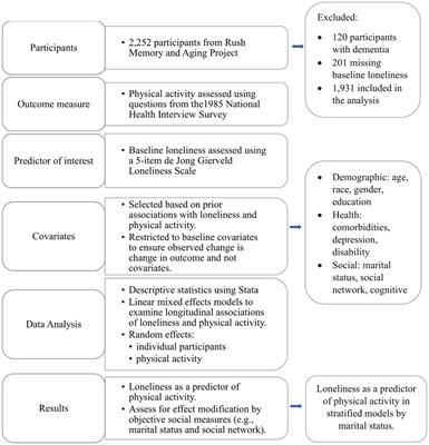 Loneliness predicts decreased physical activity in widowed but not married or unmarried individuals